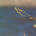 slider2