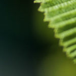 slider3