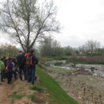 4 Difusió dels treballs de restauració fluvial