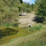 tuneria que va a la bassa 1 i per on entrarà l’aigua del Segre al sistema