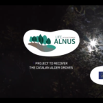 portada vídeo anglès