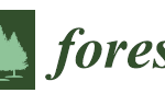Forests